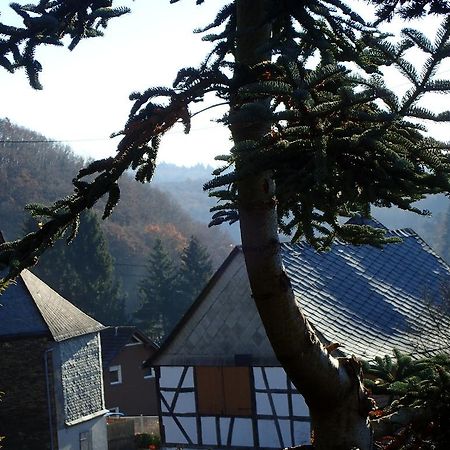 Vakantiehuis Hunsrueck Leisel Esterno foto
