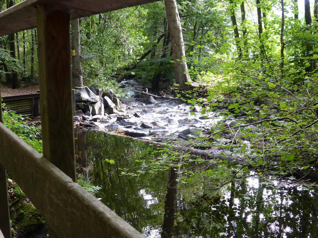 Vakantiehuis Hunsrueck Leisel Esterno foto
