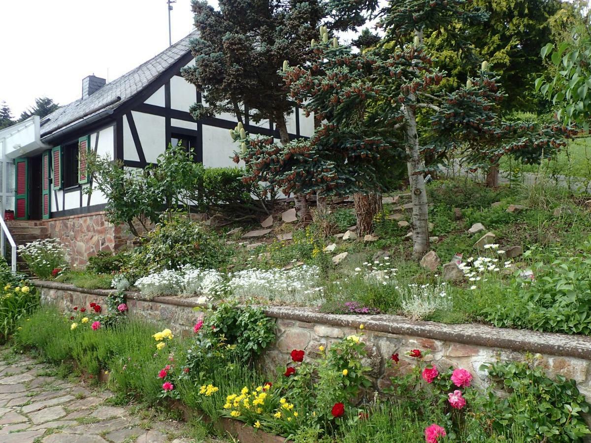 Vakantiehuis Hunsrueck Leisel Esterno foto